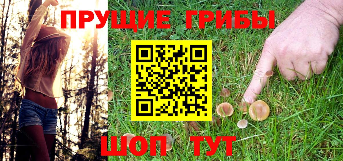 Галлюциногенные грибы MAGIC MUSHROOMS Прокопьевск