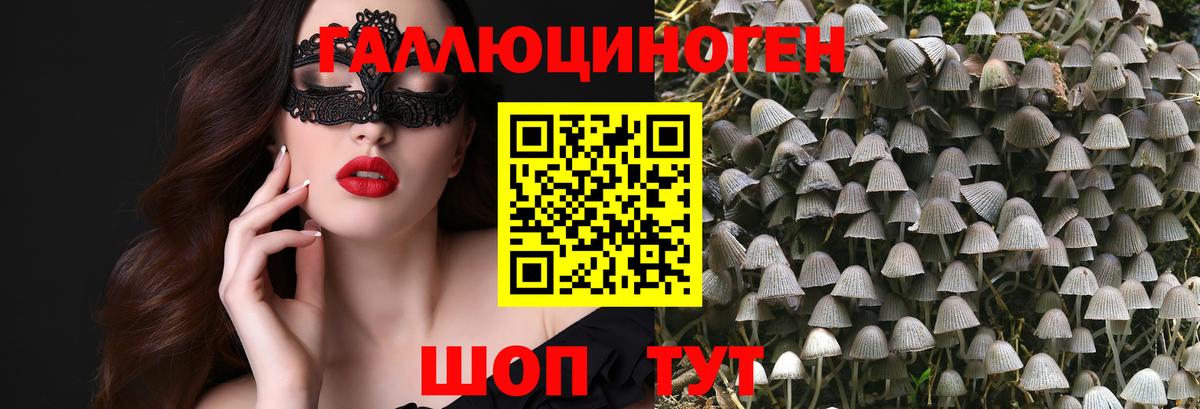 Галлюциногенные грибы ЛСД  Вход с VPN  Прокопьевск 