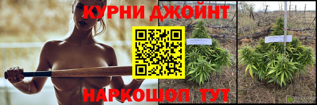 Каннабис MAZAR  Бошки Шишки семена  Вход с VPN  Бошки Шишки Bruce Banner  Прокопьевск 